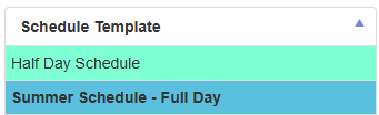 TemplateOptions.png
