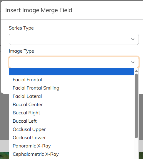 ImageMergeFieldImageType.png